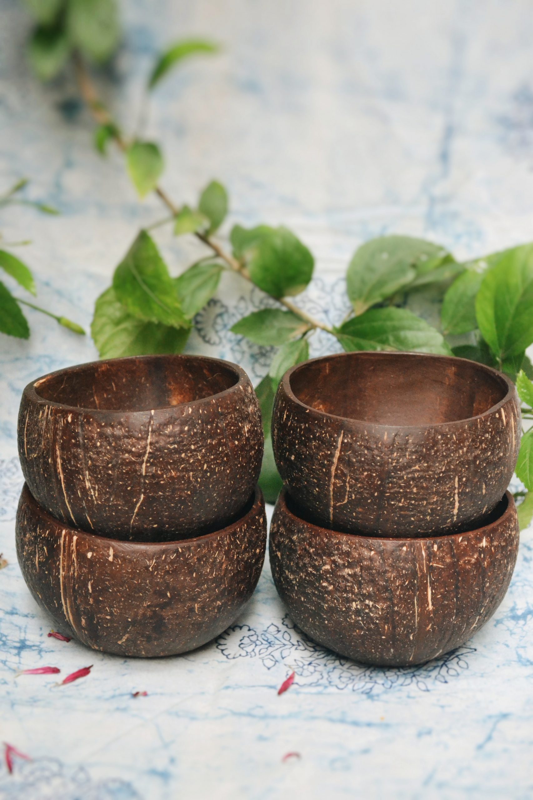 Product: Almitra Sustainables Coconut Bowl (Pack of 4)