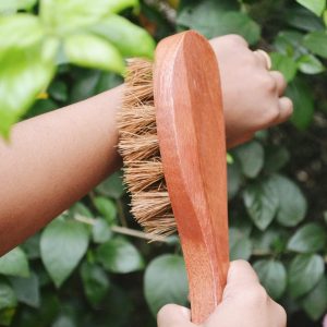 Product: Almitra sustainables Coconut Fiber – Dry Body Brush