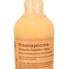 Product: PraanaPoorna Mosquito Repellent Daily Spray