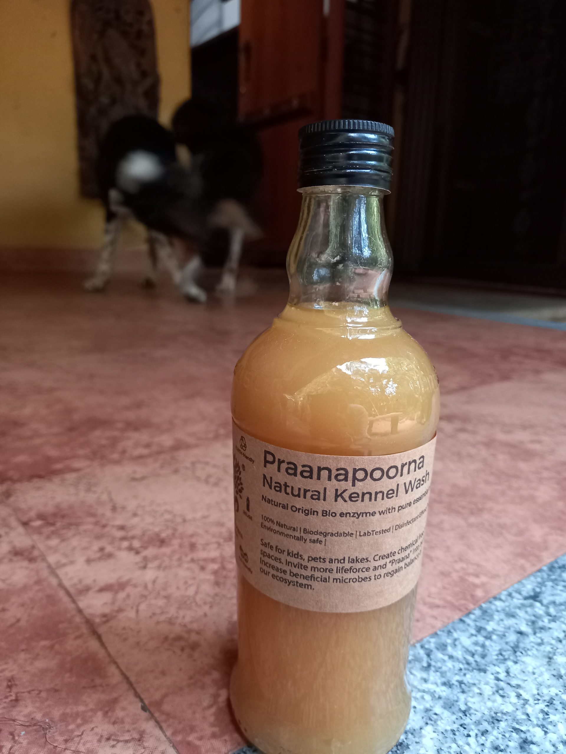Product: PraanaPoorna  Kennel Wash