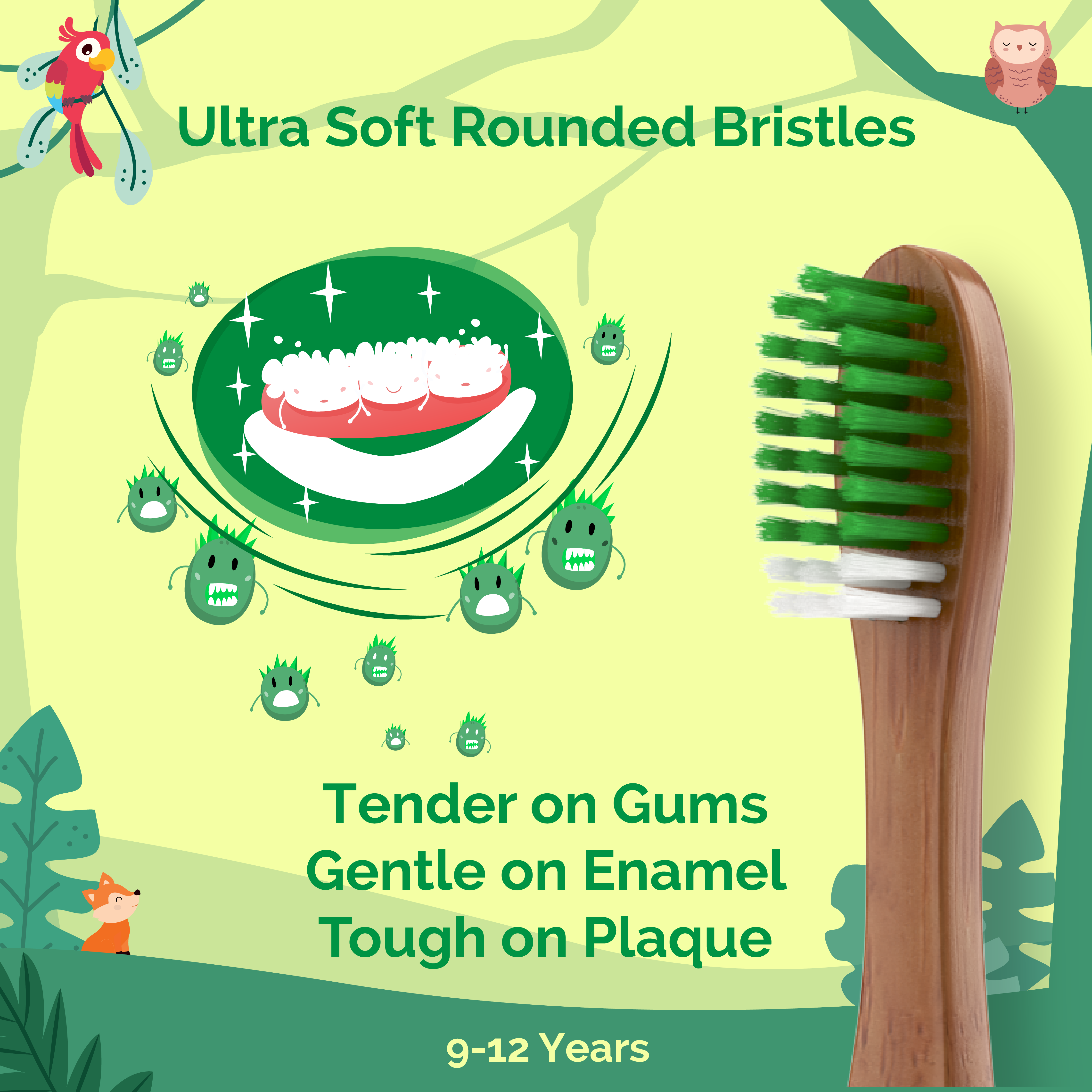 Product: Teeth-a-bit Neem Toothbrush Kids (9-12 Years) Slim Handle with Gum Sensitive Soft Bristles Pack of 2 (Forest Green)